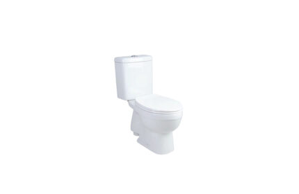 Two Piece WC-HD20N